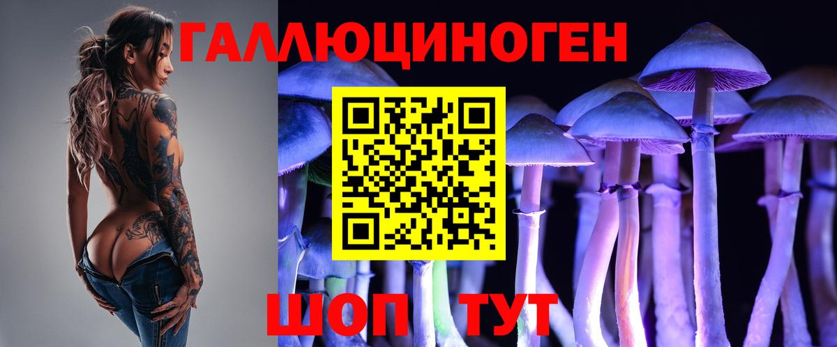 Галлюциногенные грибы мицелий  Псилоцибиновые грибы Psilocybe  Рассказово  Вход с VPN 